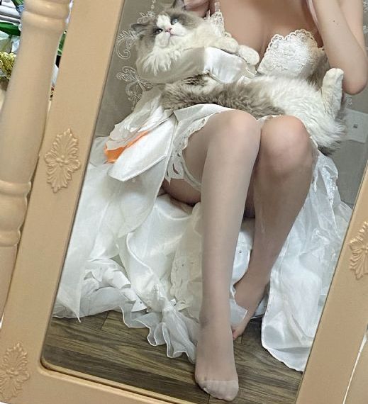 燕子李三电视剧34集免费观看