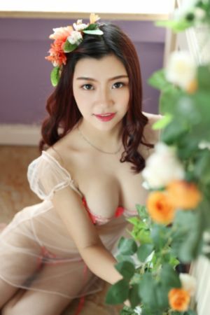 妖精森林的救世主动漫在线观看