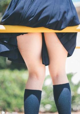 小鼠活体成像