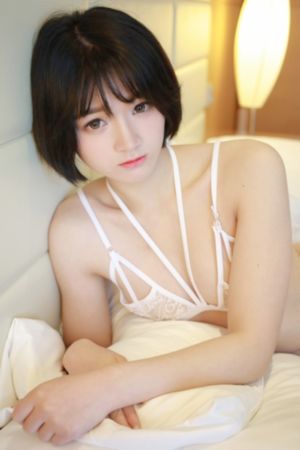 搏击之王2泰森