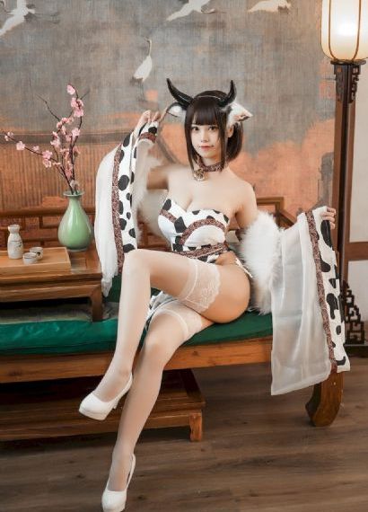 白百何演的电视剧全部