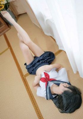 金瓶双梅