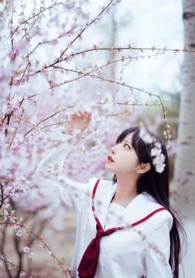 女子推理社综艺免费观看全集高清