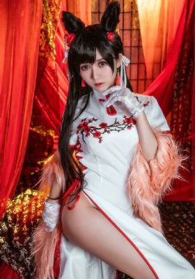 骡子和金子电视剧免费观看